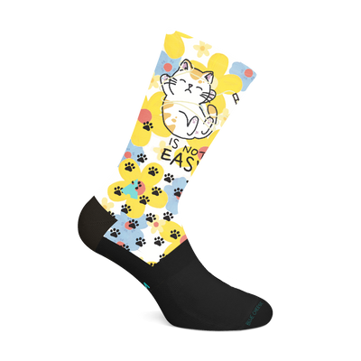 CAT HSPU AND NOT EASY